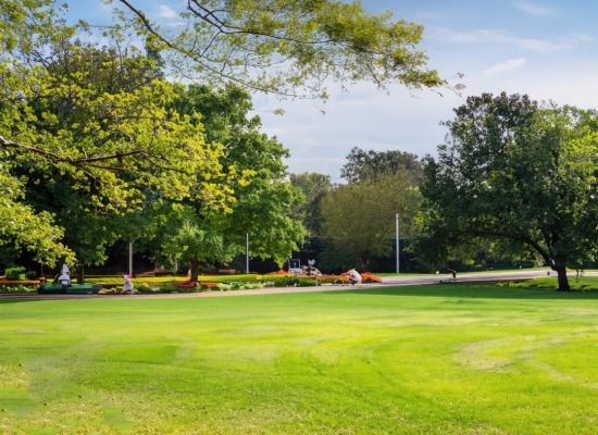 Parque y área verde - 01.jpg